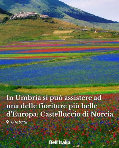 Aurora Bed and Breakfast — Gubbio — photo 2