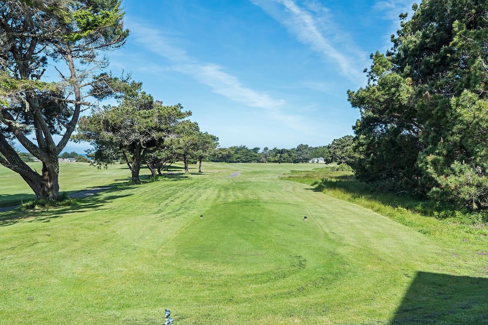 Cypress Meadows - photo 13