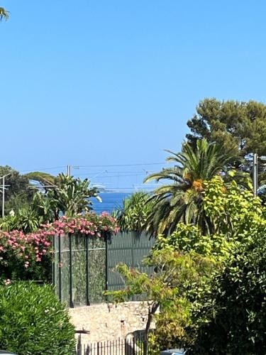 Charming Studio in Cannes Next To the Beach - last minute hotel in Cannes