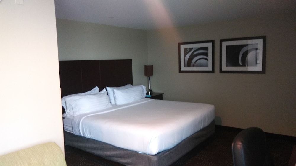 Holiday Inn Express & Suites Pittsburgh West Greentree by IHG - photo 3