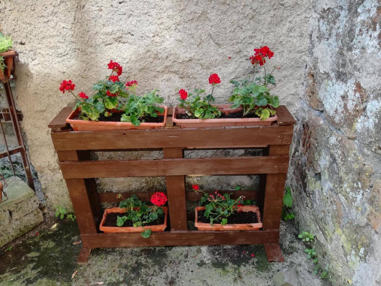 Casavacanze Salza Nel Borgo — Sutri — photo 4