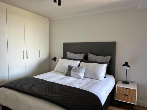 Luxury apartment in Newlands