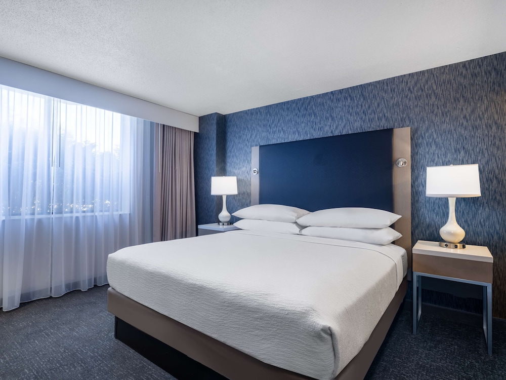 Embassy Suites by Hilton Baltimore Hunt Valley - photo 13