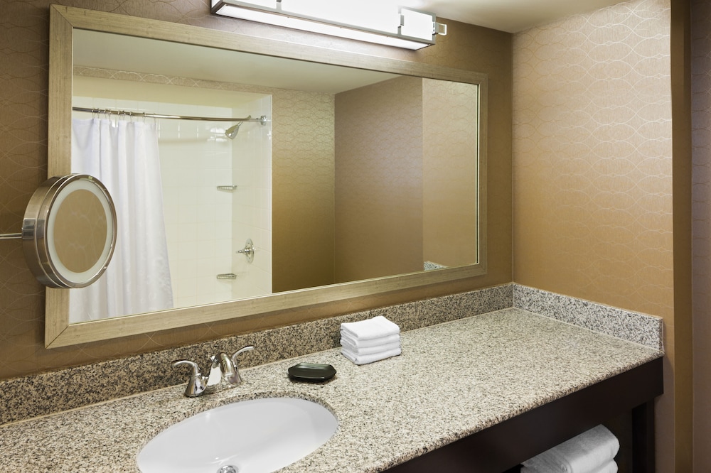 Sheraton Metairie New Orleans Hotel - photo 8