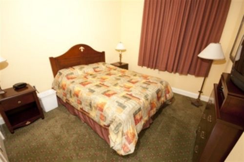 Seneca - photo 10