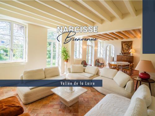 Narcisse Bienvenue Élégance et Raffinement — hotel in Saint-Mathurin-Sur-Loire