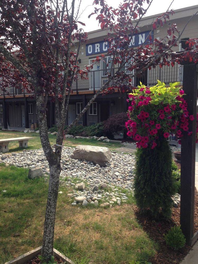 Orca Inn - photo 15