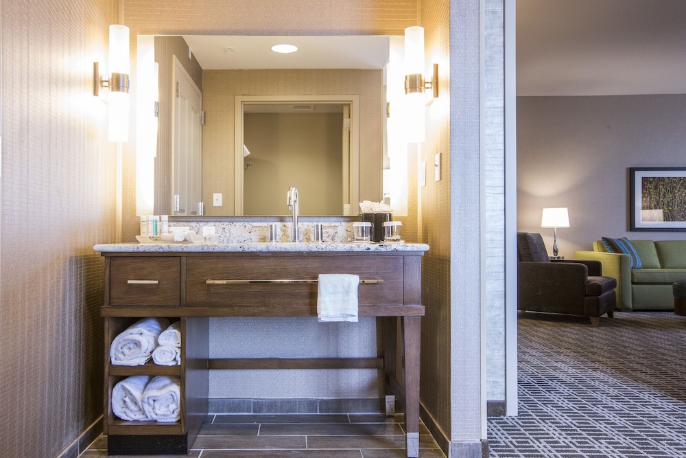 Hampton Inn Houston Downtown - photo 16