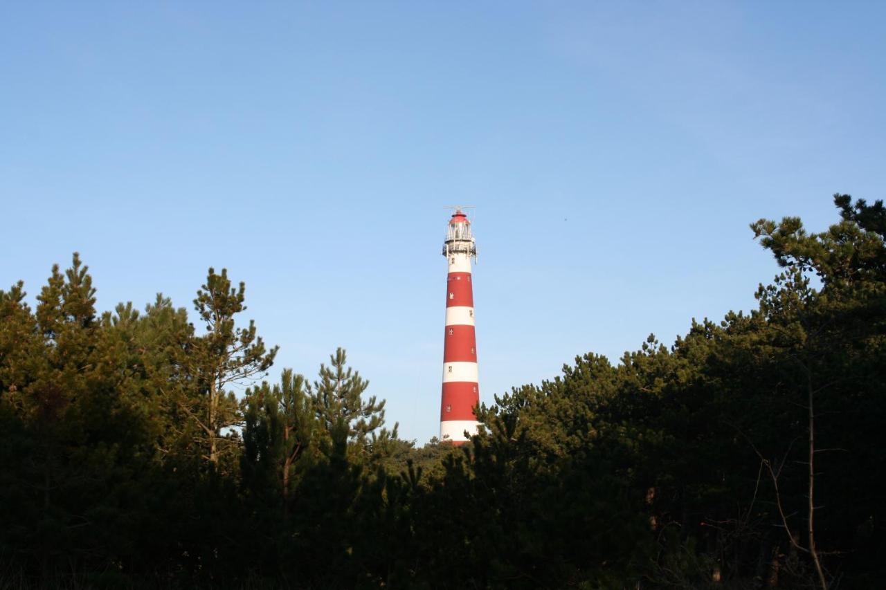 Amelanderkaap 109 — Hollum — photo 5