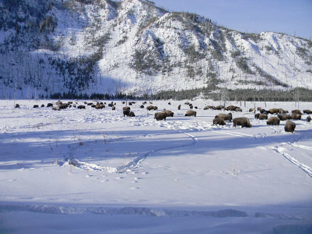 Holiday Inn West Yellowstone by IHG. - photo 211