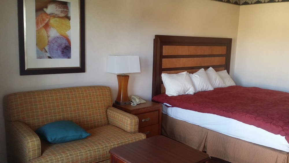 Studio 9 Inn & Suites - photo 8