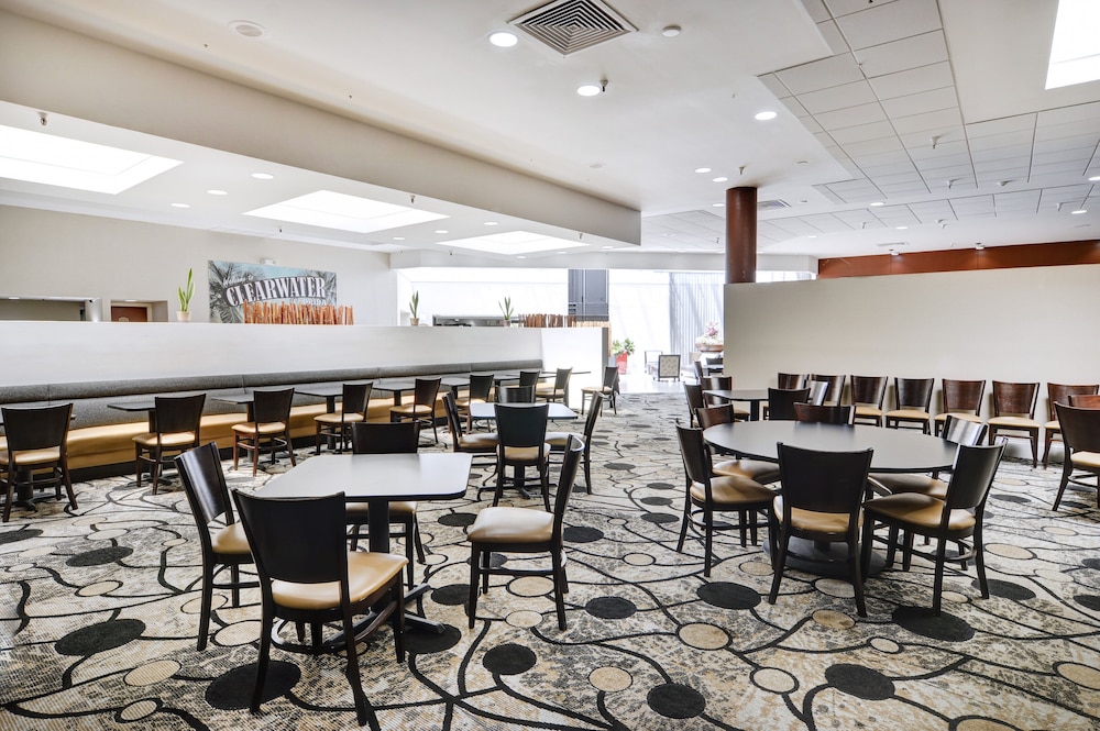 Holiday Inn St Petersburg N Clearwater by IHG - photo 32