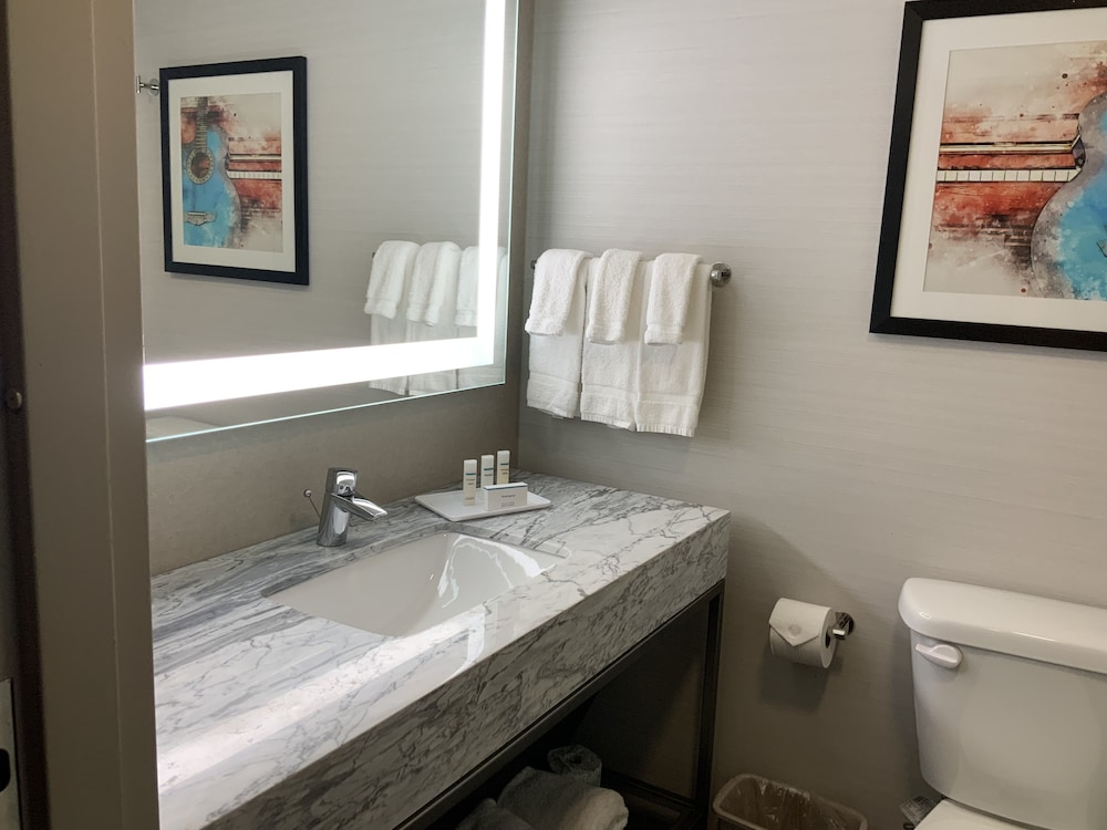 Crowne Plaza Nashville Airport by IHG - photo 16
