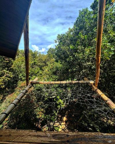 Reserva Natural La Floresta pet-friendly hotel Tona