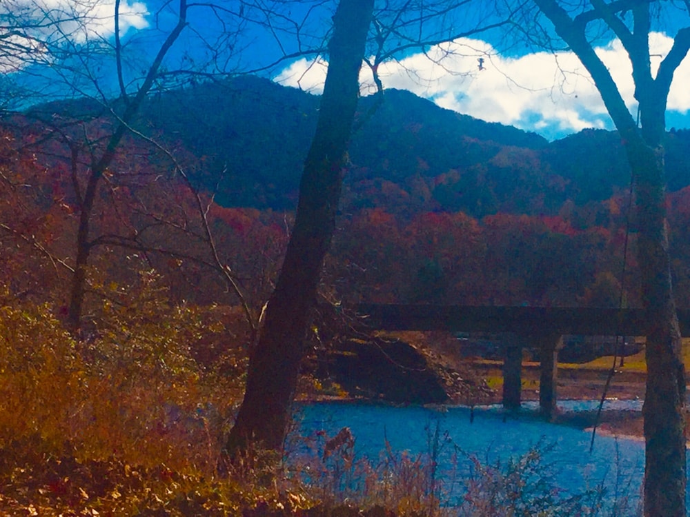 Mountain of Dreams At Lavista Cove — 4-Star Luxury Hotel in Hiawassee, United States