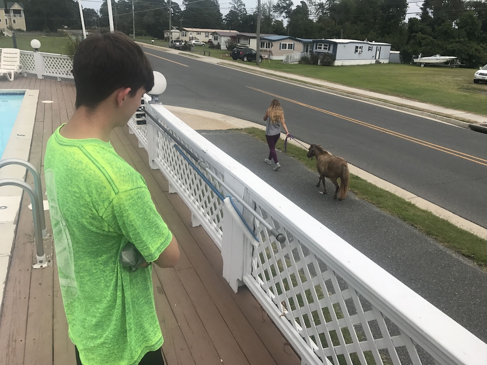 Chincoteague Inn - photo 21