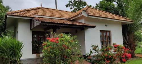 Rasa Gurukul — Cochin — photo 4