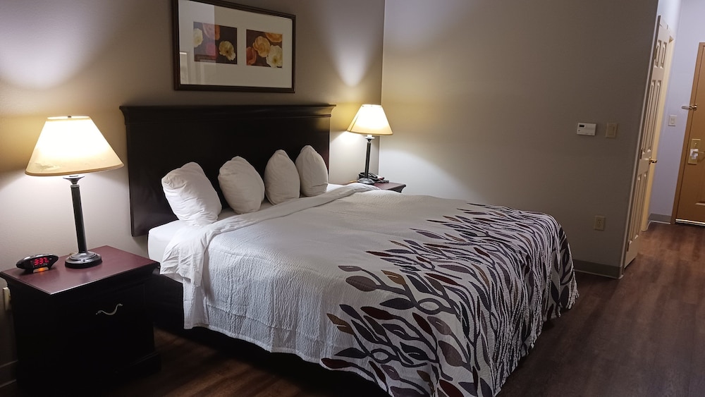 Red Roof Inn & Suites Midland - photo 4