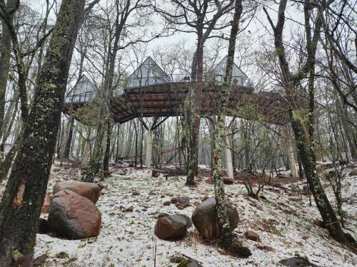 Cabaña Boreal Punta del Bosque in Huasca De Ocampo, Mexico