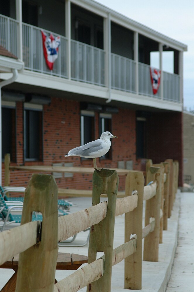 Pilgrim Sands on Long Beach - photo 80