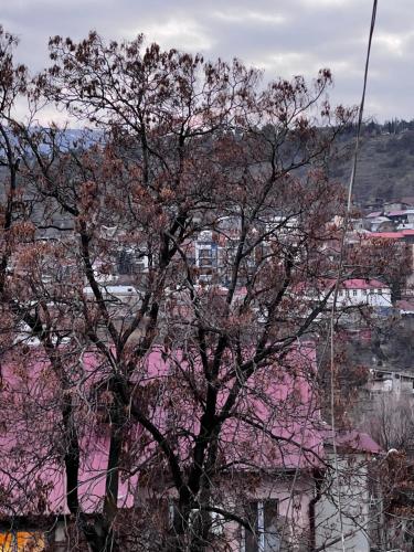 TYSON old tbilisi