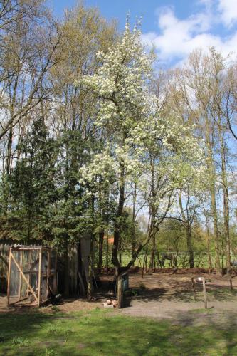 B&B In de Backerije — Ruinen — photo 5