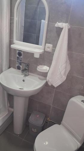 Apartment Sofi
