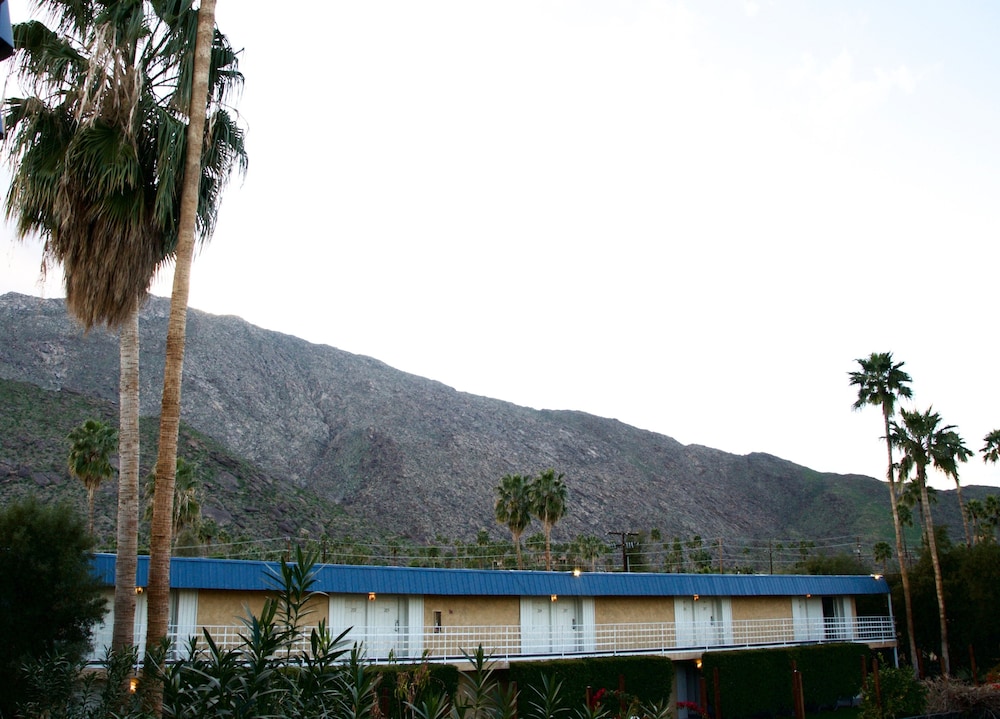 Delos Reyes Palm Springs - photo 48
