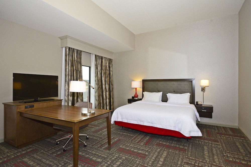 Hampton Inn Pulaski - photo 4