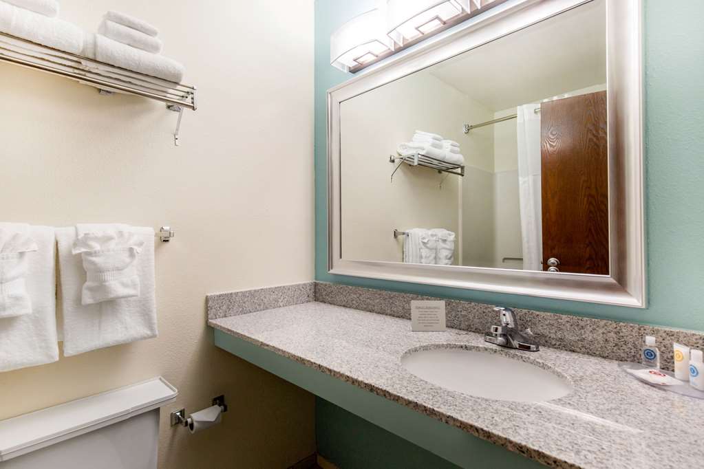 Quality Inn Stephens City Winchester South - photo 23
