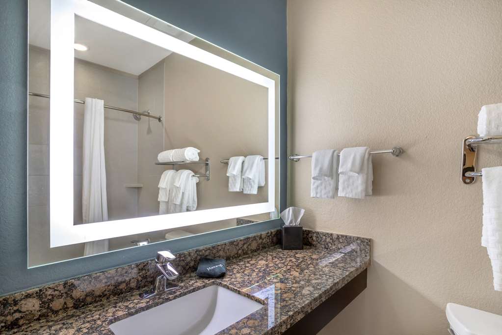 Best Western Plus Lake Jackson Inn & Suites - photo 27