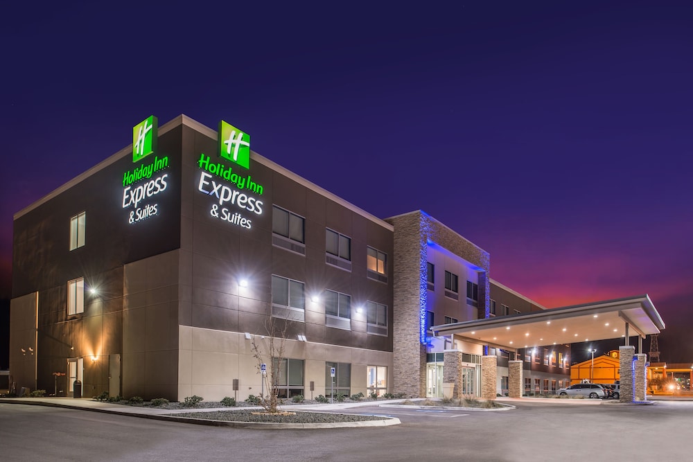 Holiday Inn Express & Suites Van Horn by IHG - photo 55