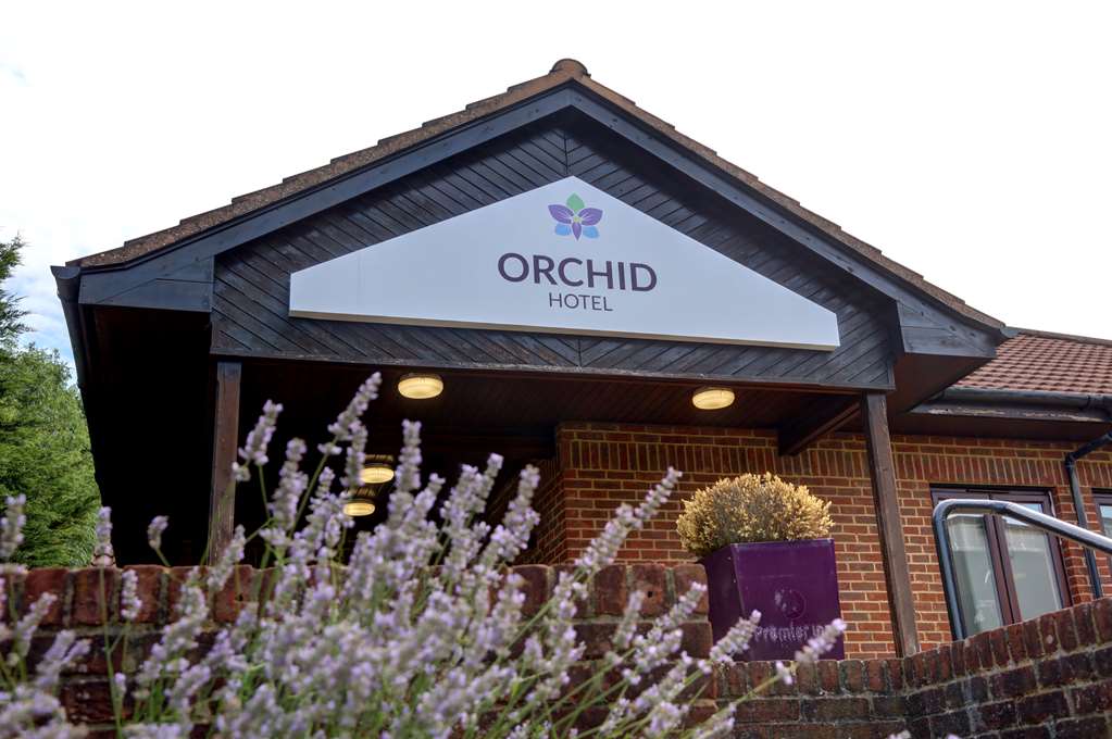 Orchid Hotel Epsom Surrey Sure Collection by Best Western — hotel in Epsom