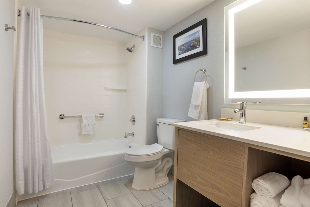 Best Western Plus Mobile Inn & Suites - photo 18