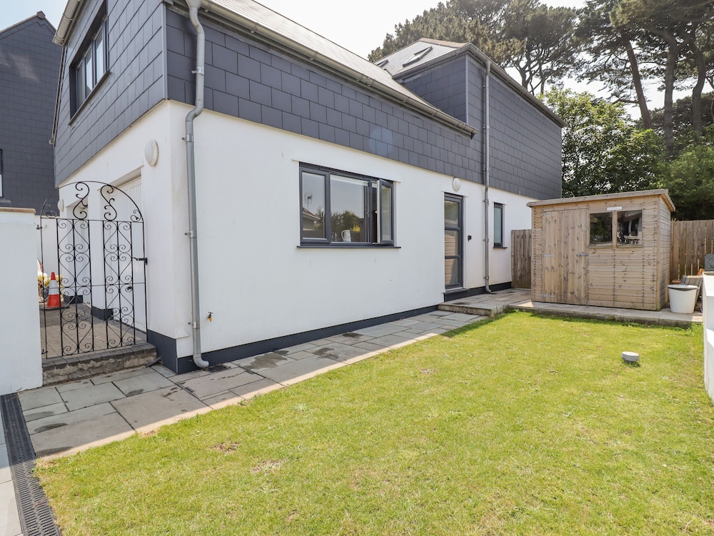 Sea Holly in St Ives, United Kingdom