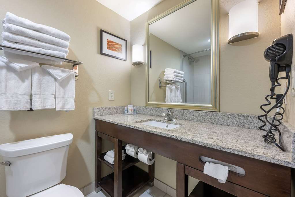 Comfort Inn & Suites West Artesia - photo 10