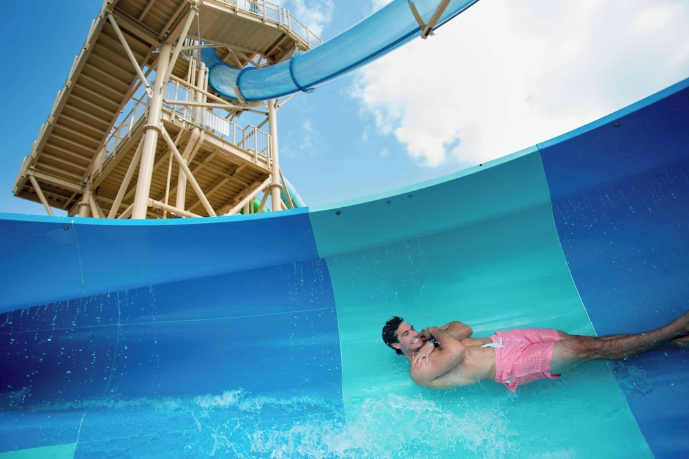 Gaylord Palms Resort & Convention Center - photo 44