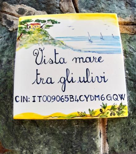 Vista mare tra gli ulivi — 4-Star Luxury Hotel in Varazze, Italy