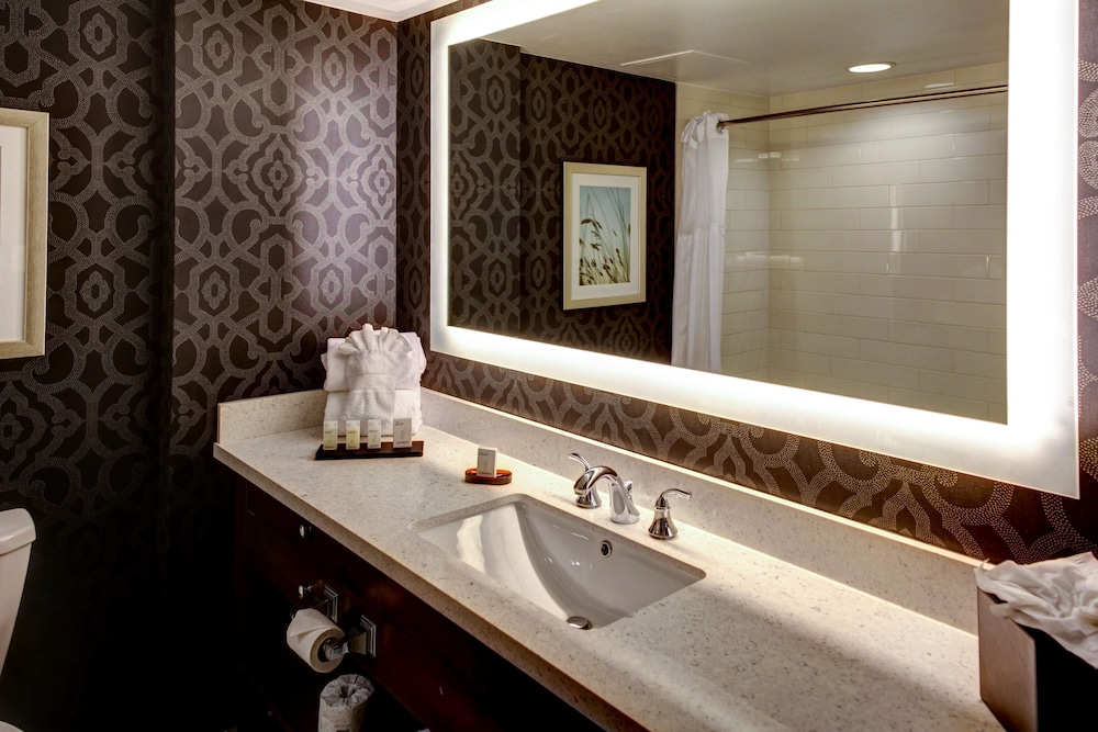 Embassy Suites Williamsburg - photo 14
