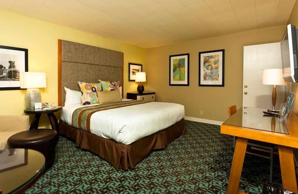 Campbell's Resort - photo 17