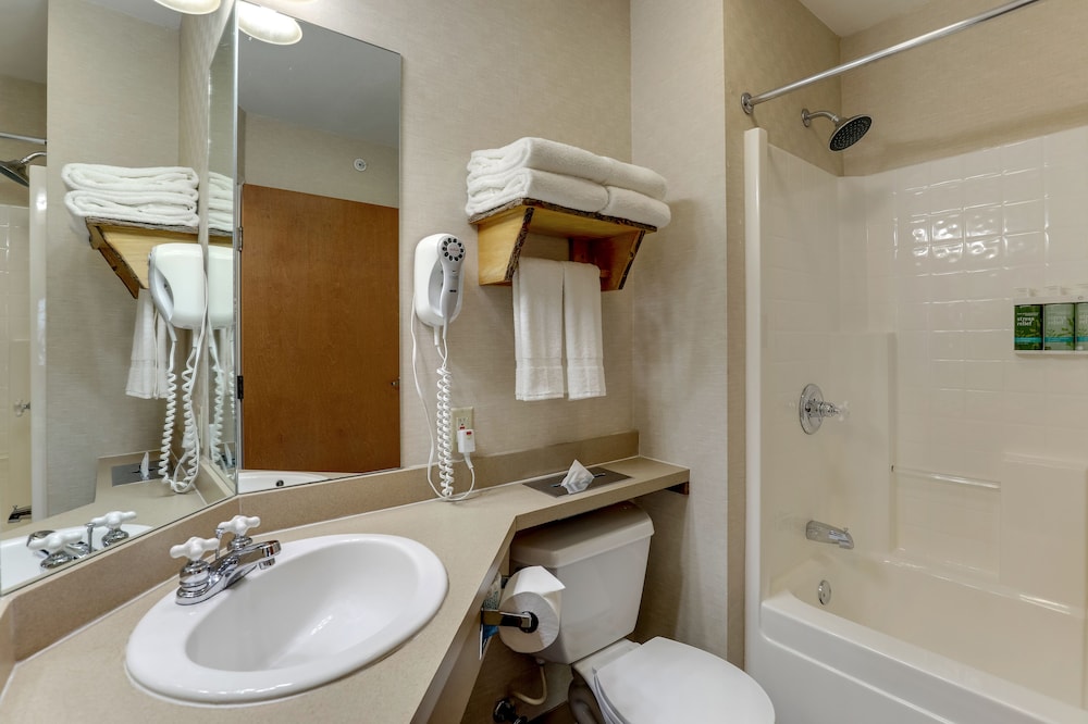 Stoney Creek Inn Quincy - photo 20