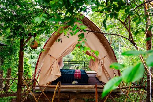 Khu Gghỉ Dưỡng glamping Pa Sỹ 3 in Pleiku, Vietnam