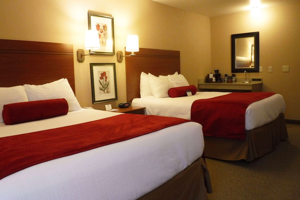 Wingate by Wyndham Mount Vernon - photo 12