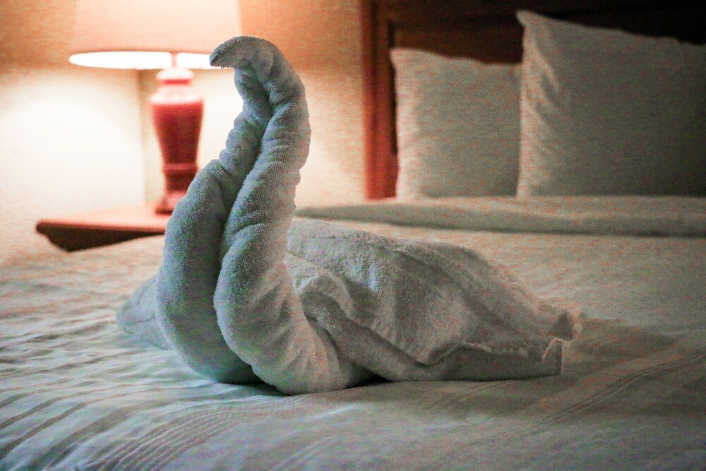 Suite Dreams Hotel - photo 25