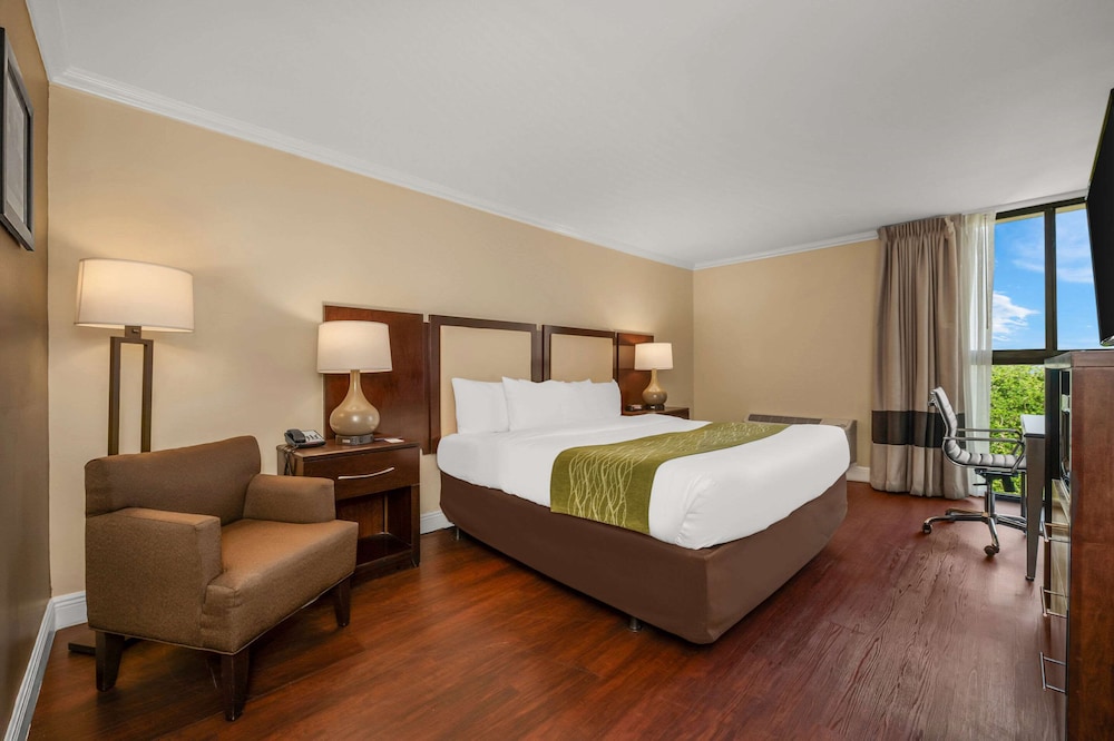 Comfort Inn Oceanside Deerfield Beach - photo 32
