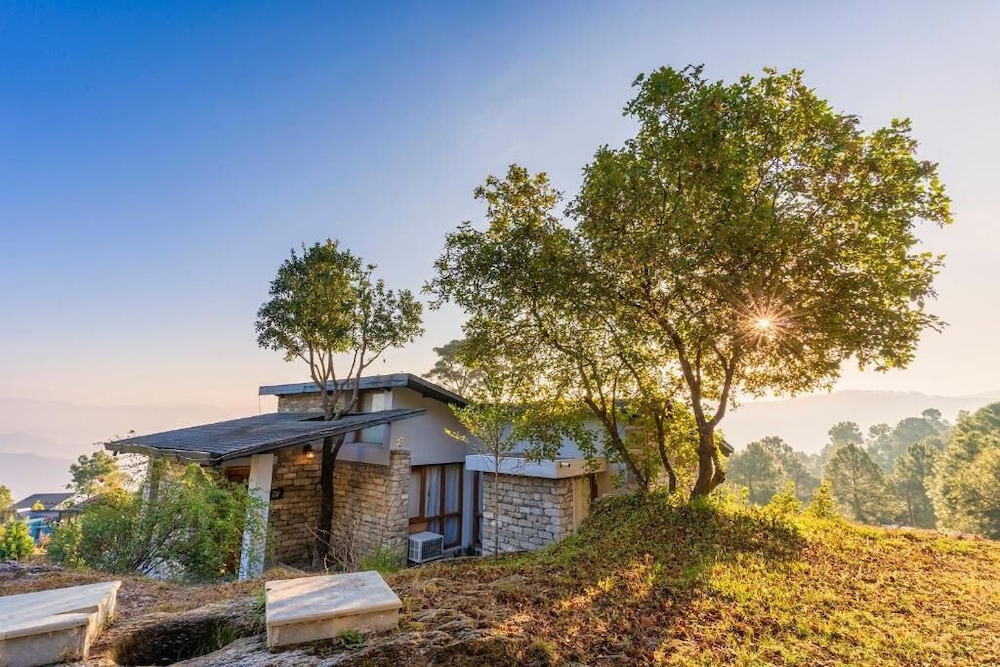 Seed at Queens Meadows Ranikhet in Ranikhet, India