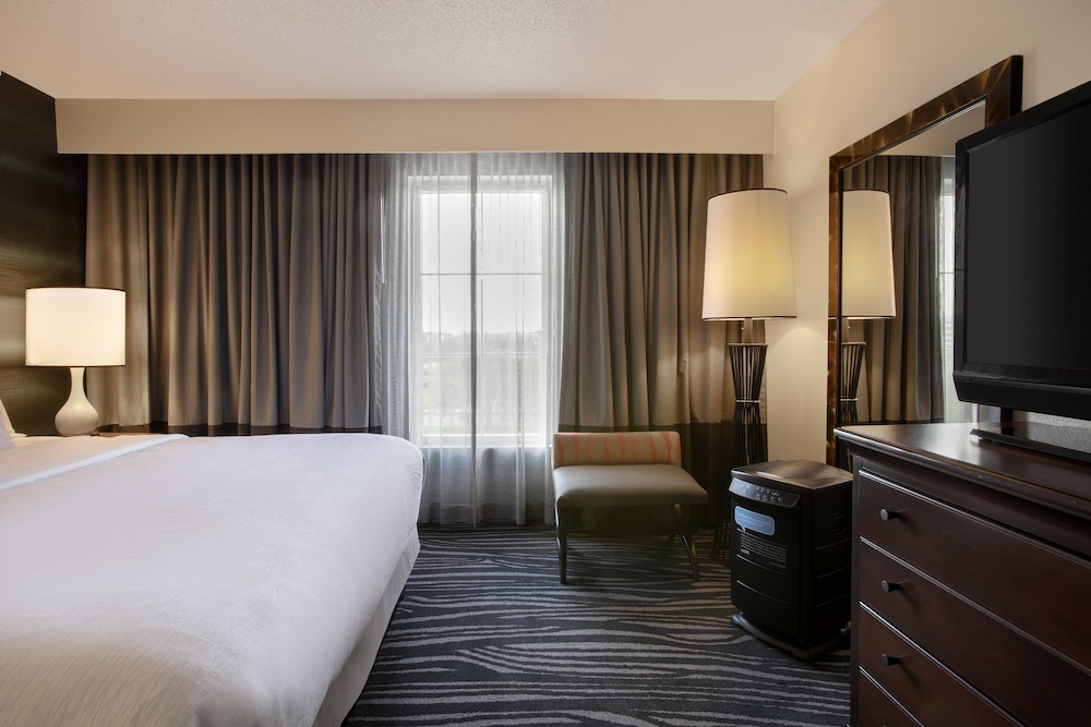 Embassy Suites by Hilton Orlando Airport - photo 22