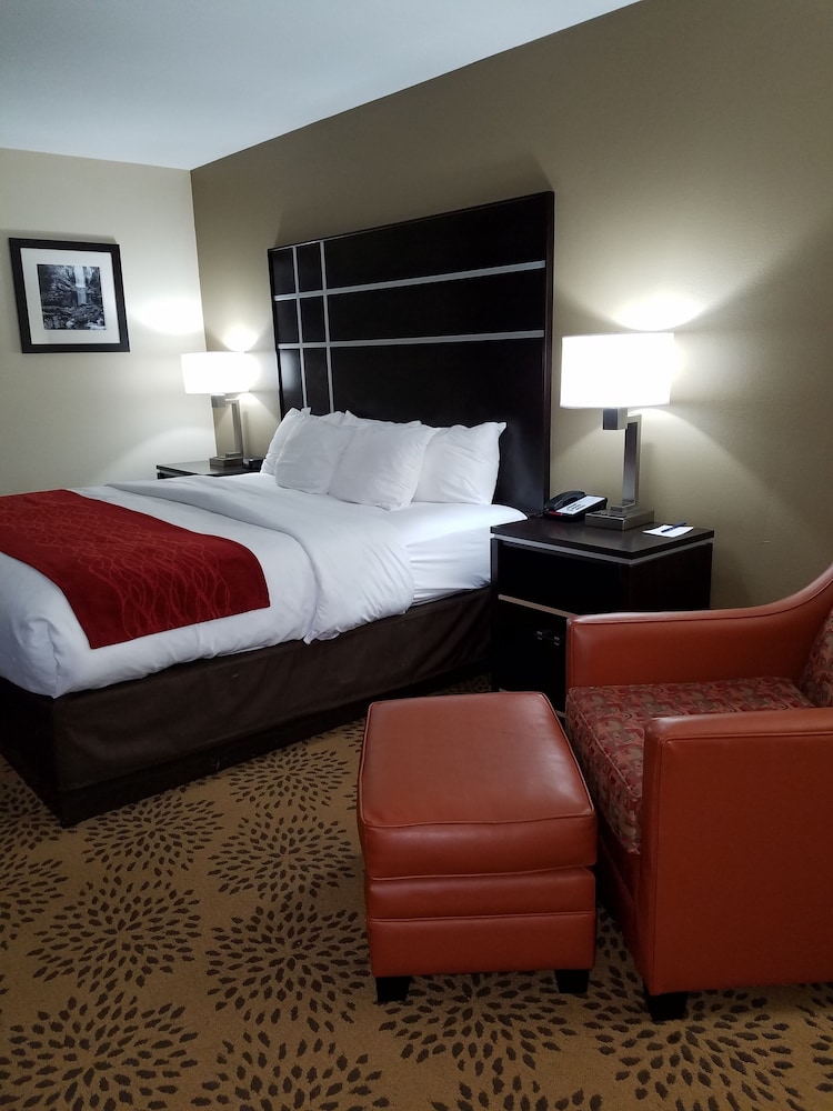 Comfort Inn North of Asheville - photo 15