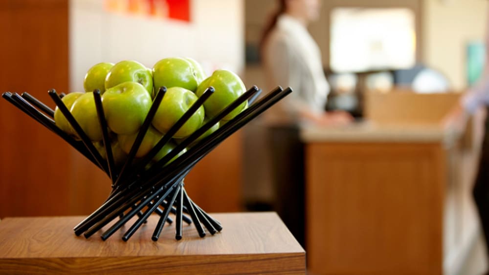 Hyatt Place Dallas North Arlington Grand Prairie - photo 2