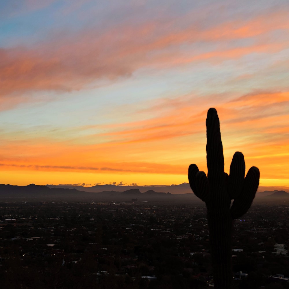 DoubleTree Resort by Hilton Paradise Valley Scottsdale - photo 54